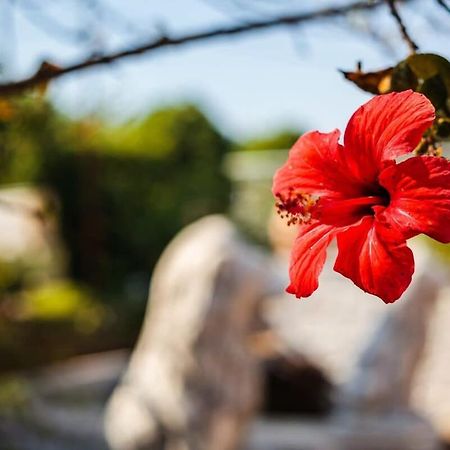 Mani'S Garden Paradise - Elia Secluded Retreat Ступа Екстериор снимка